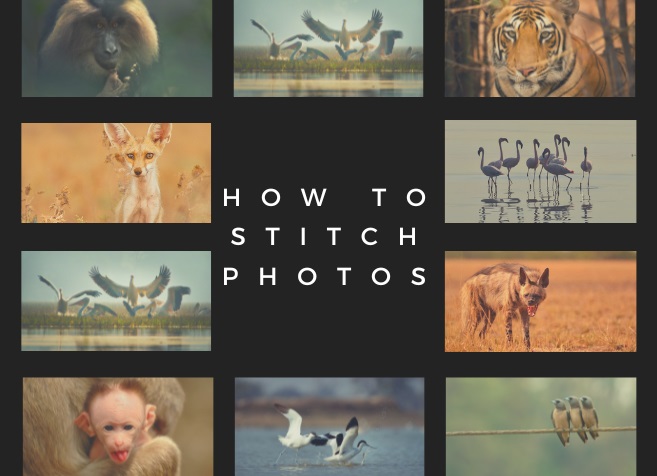 How to Easily Stitch Photos Together: Best Tools and Tips