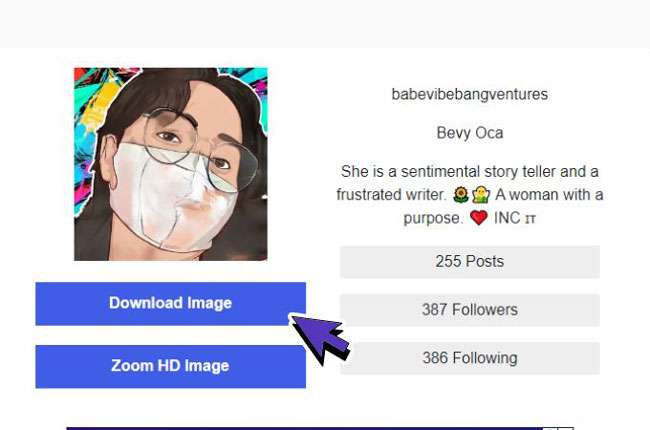 descargar perfil de instagram