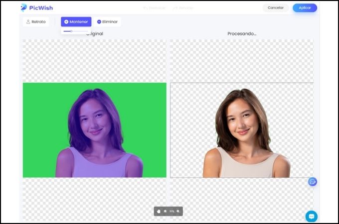 greenscreen remover picwish