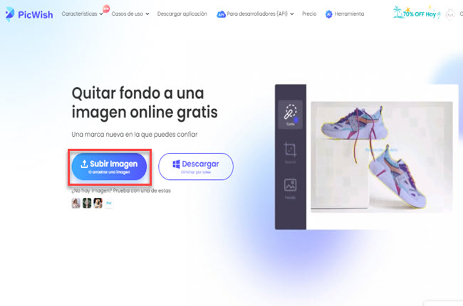 removedor de fondo en línea picwish