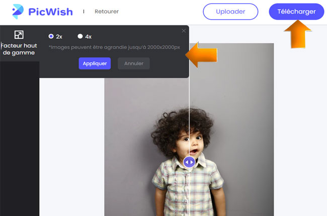 picwish télécharger l'image