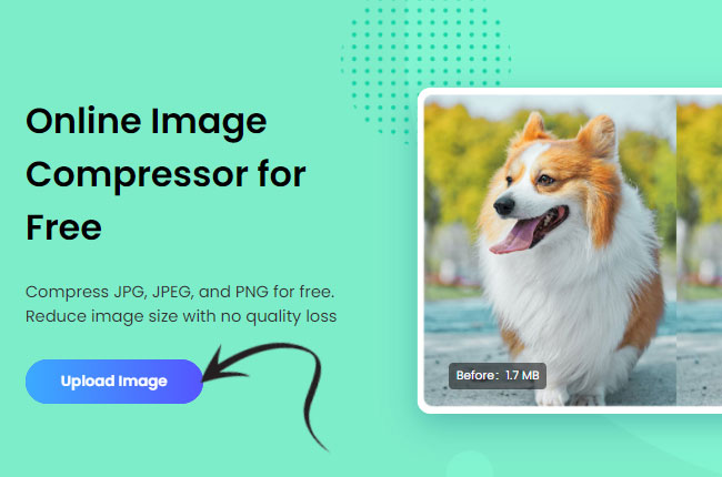 import a photo in picwish