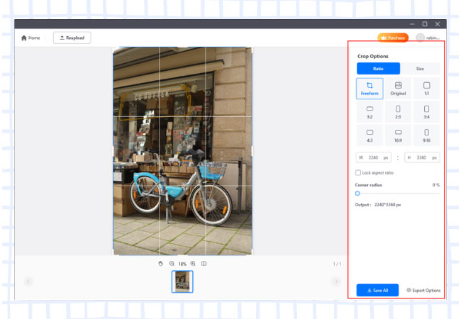 picwish crop option