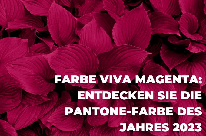 Die vollständige Anleitung zur Verwendung von Viva Magenta Pantone [2023]