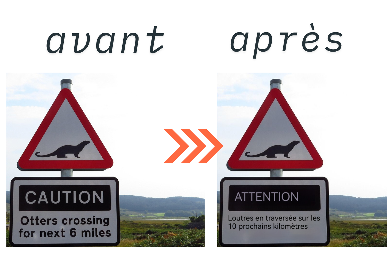 Comment traduire des images avec l&rsquo;IA ?